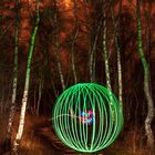 Orb im Wald