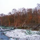 Orbachtal bei Odendorf (Rhein-Sieg-Kreis)