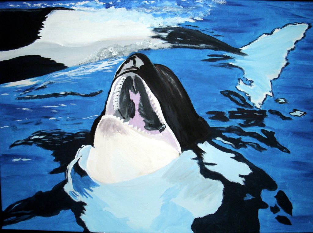 Orca