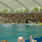 Orca Show im Loro Parque