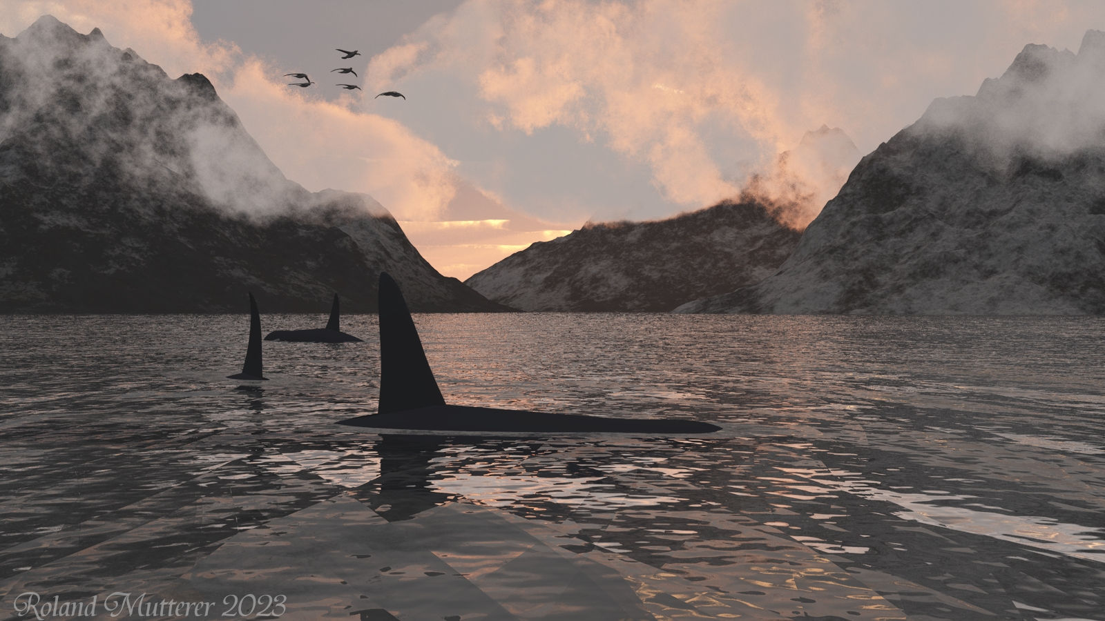 Orcas im Fjord