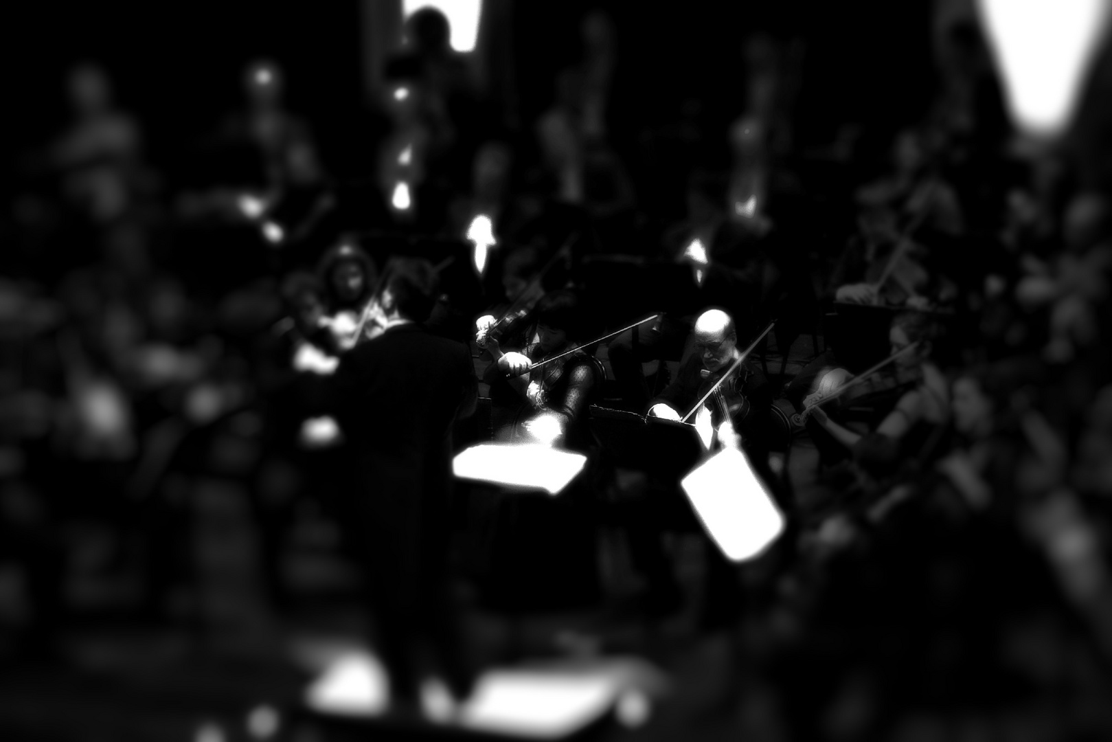 Orchestra