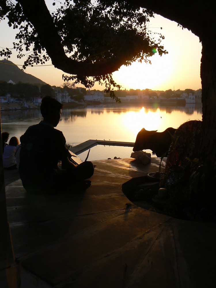 orchestra in sunset