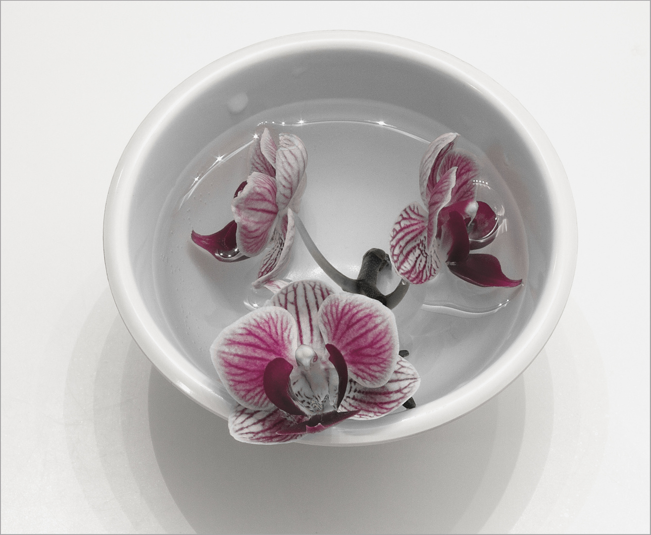 Orchid Bowl