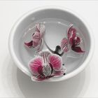 Orchid Bowl