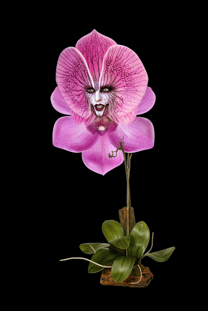 OrchiDea