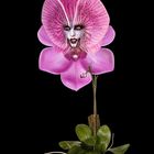 OrchiDea