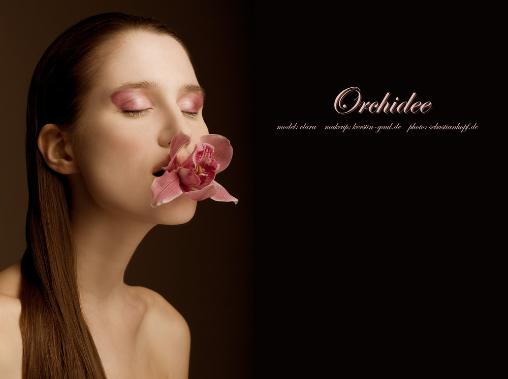 orchidee