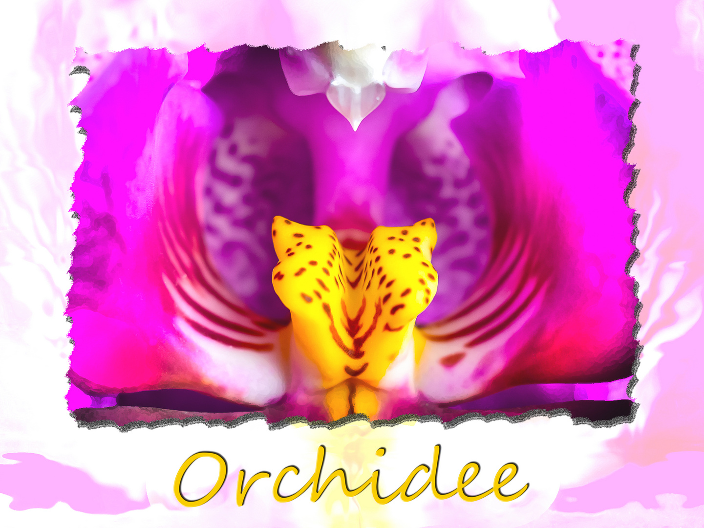 Orchidee - Idee