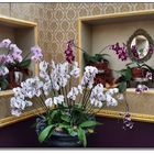 Orchidee-Idee