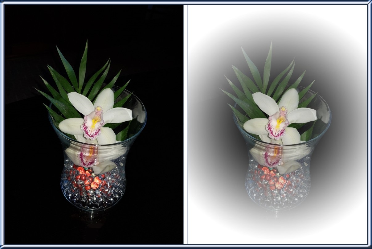 Orchidee im Doppel Design