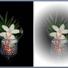 Orchidee im Doppel Design