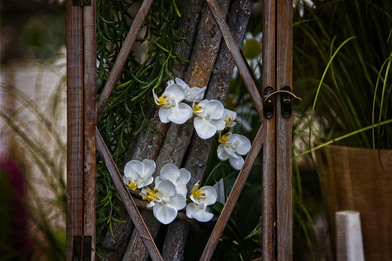 Orchidee im Glaskasten.....