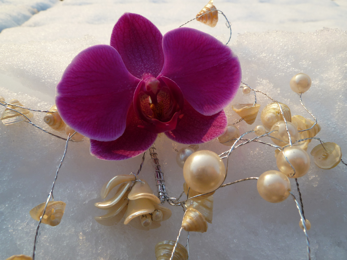 Orchidee im Schnee -1 #