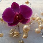 Orchidee im Schnee -1 #