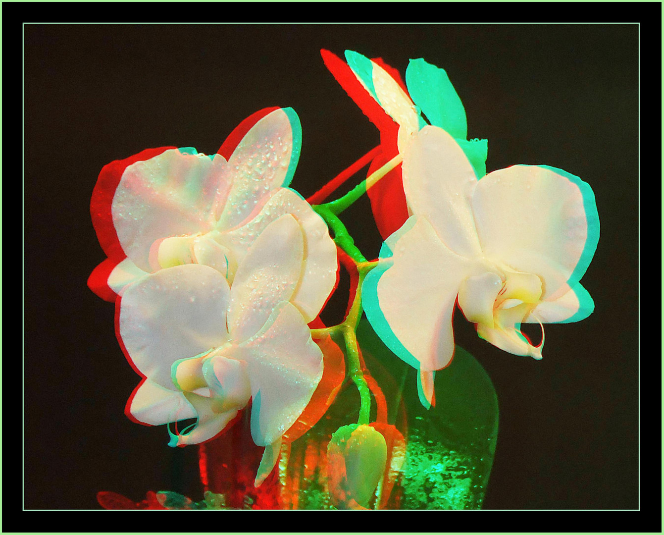 Orchidee in 3D