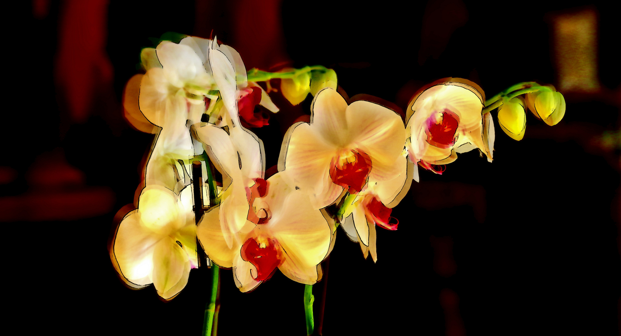 Orchidee mal anders