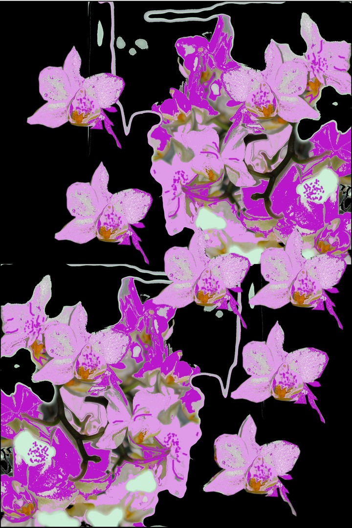 Orchideen