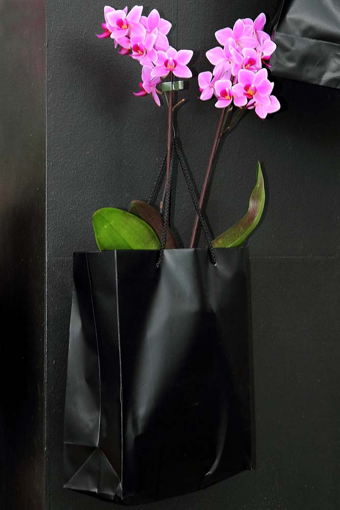 Orchideen- Arrangement