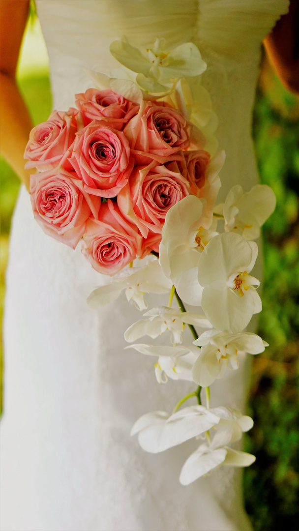 Orchideen Brautstrauss Foto Bild Hochzeit Wedding Bluten Bilder Auf Fotocommunity