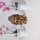 Orchideen mit Budda