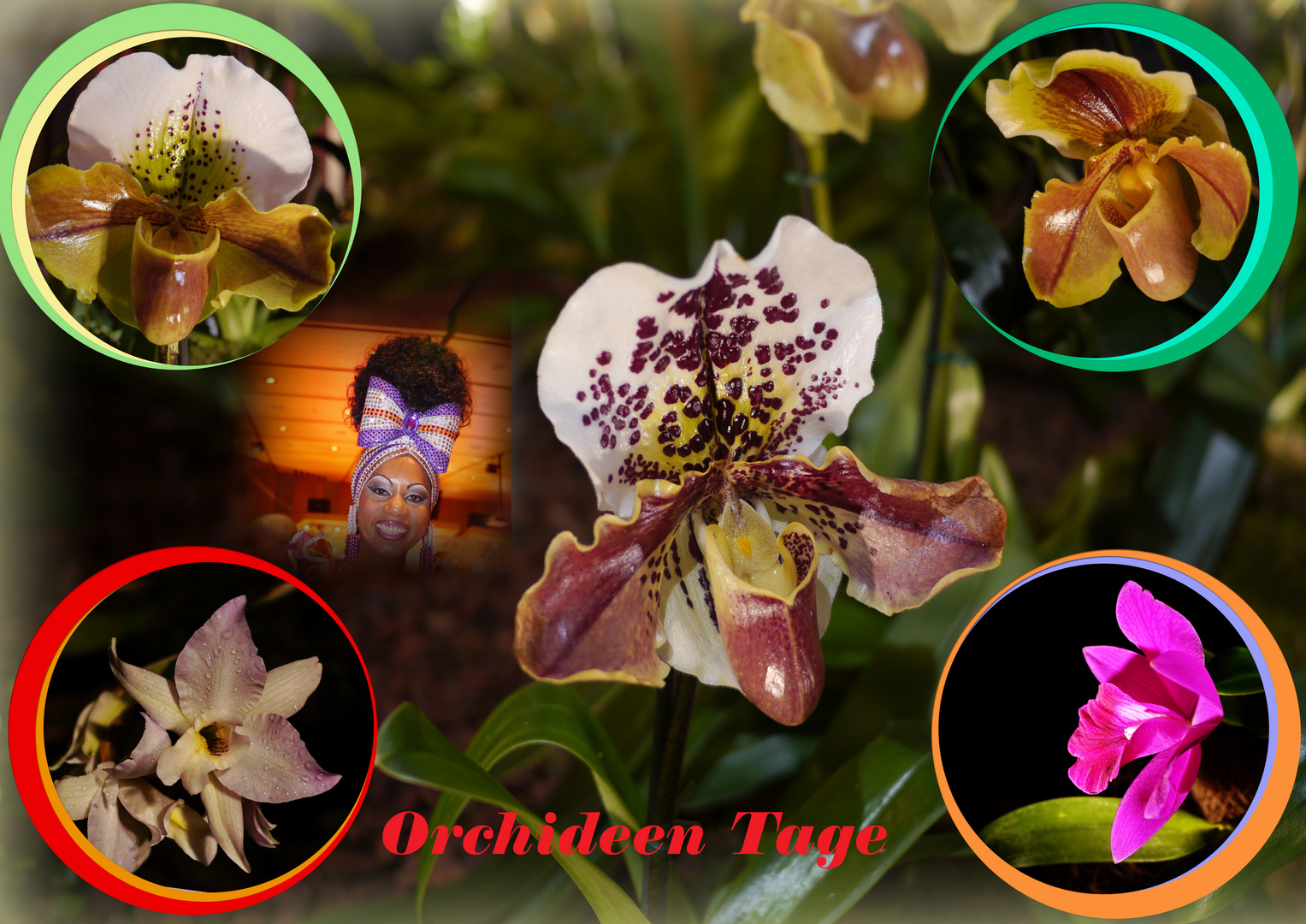 Orchideen Tage