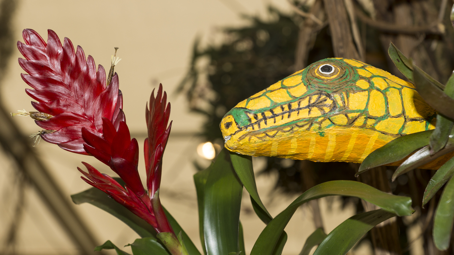 Orchideenausstellung Klosterneuburg, Niederösterreich