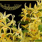 Orchideenblüte (mir unbekannte Art)