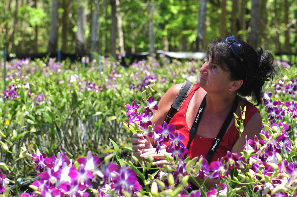 Orchideenfarm auf Phuket