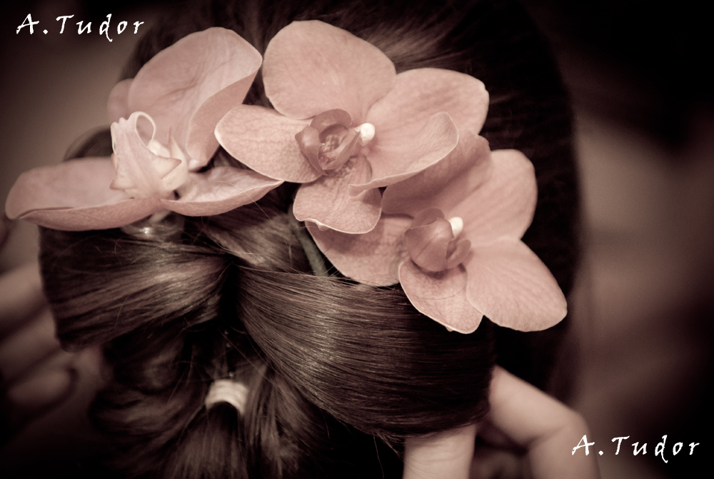 orchids hairstyle