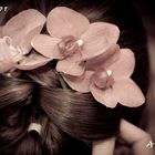 orchids hairstyle