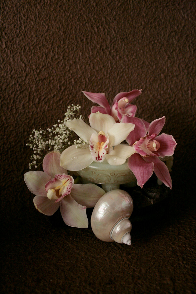 Orchids, sea shell and jade