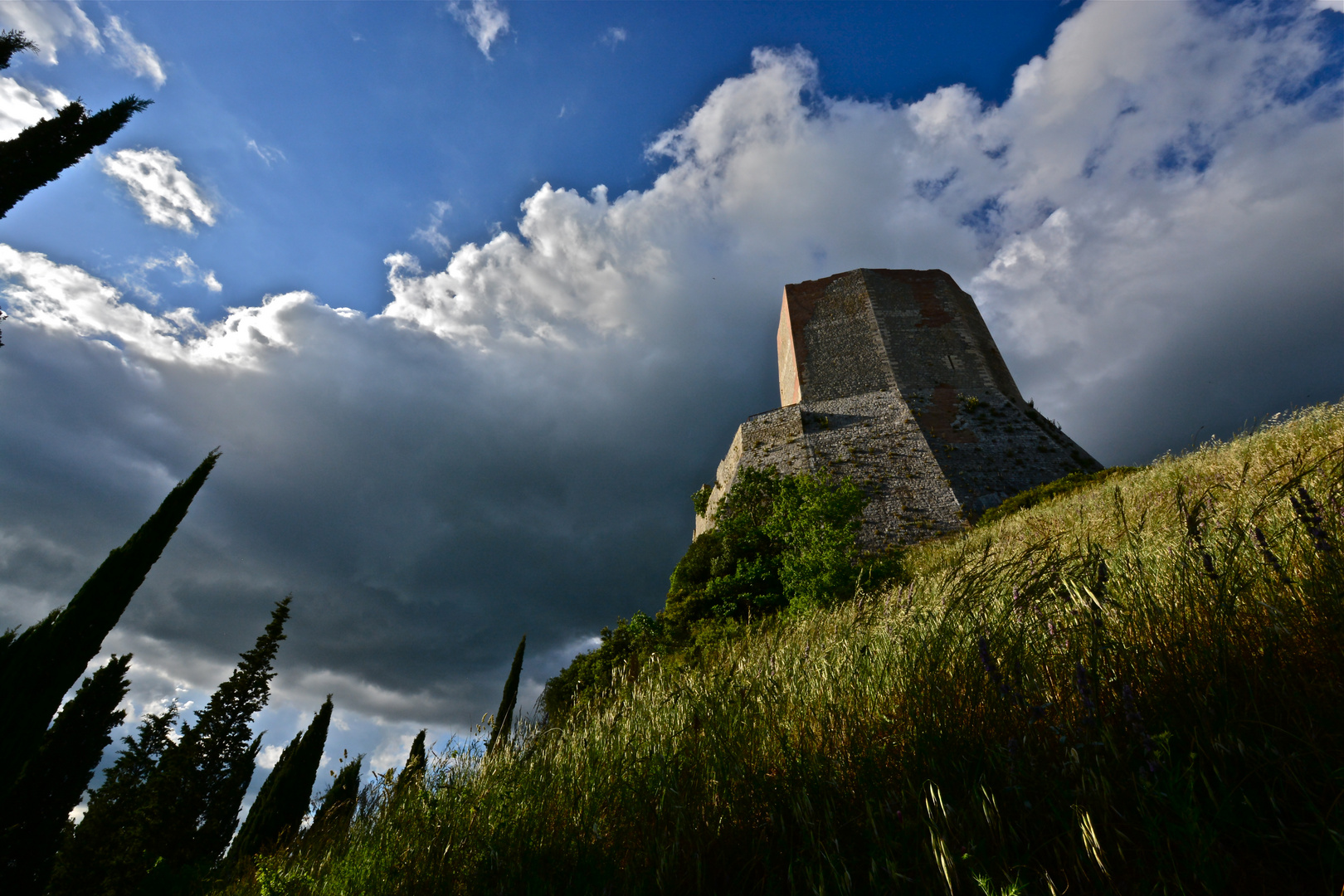 Orcia