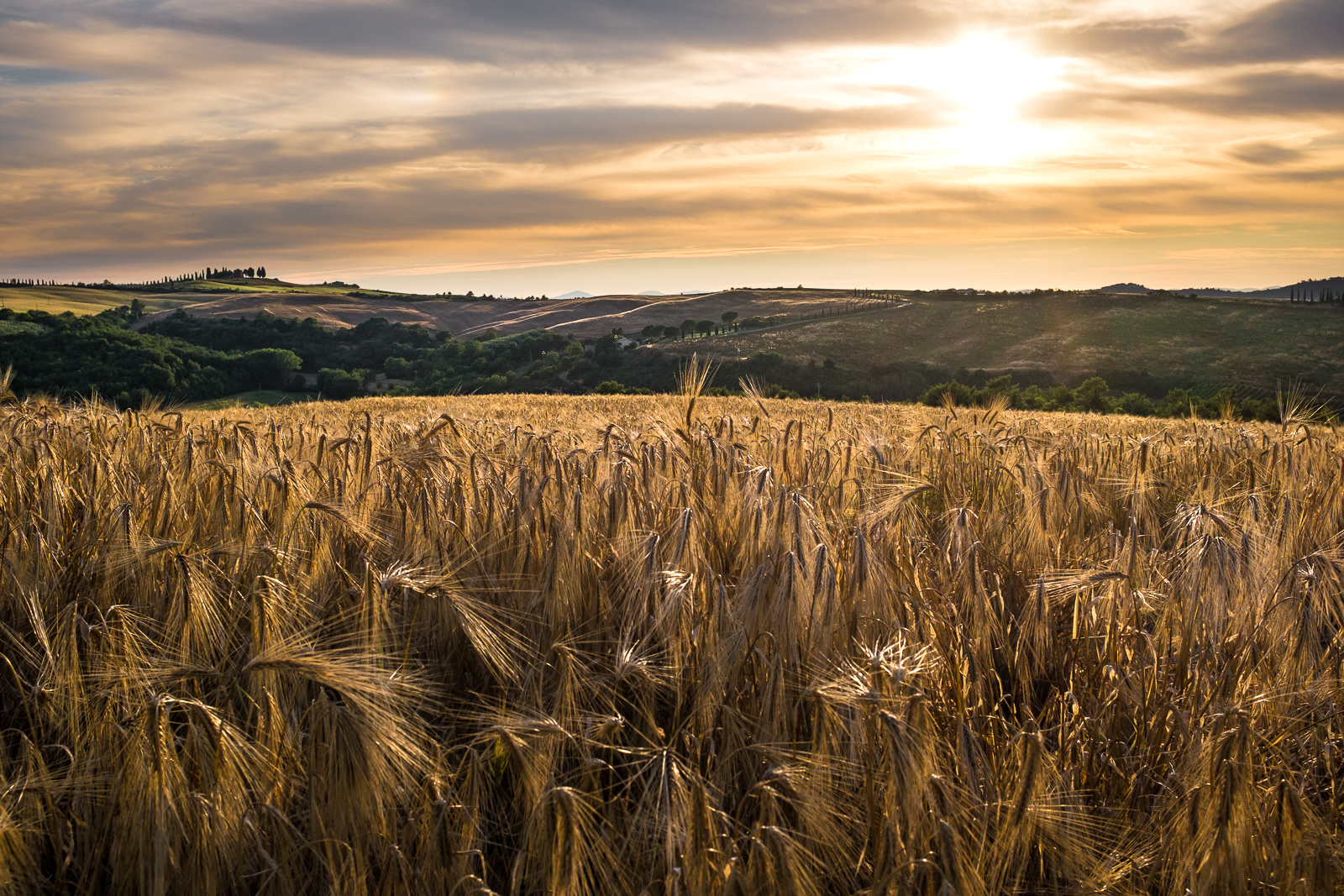 Orcia Sunset