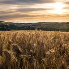 Orcia Sunset