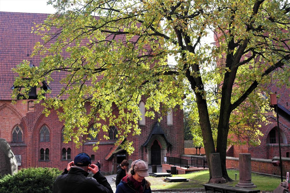 Ordensburg Marienburg Weltkulturerbe : Natur und Technik