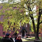 Ordensburg Marienburg Weltkulturerbe : Natur und Technik