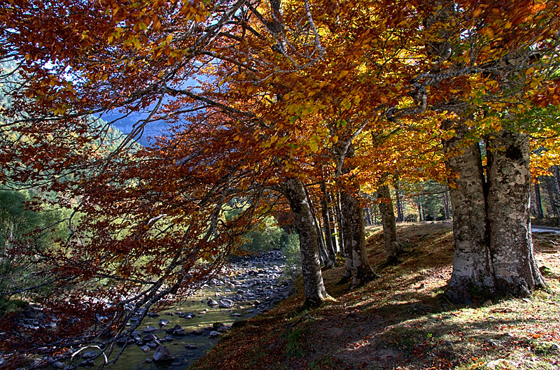 Ordesa "Paraiso del color"