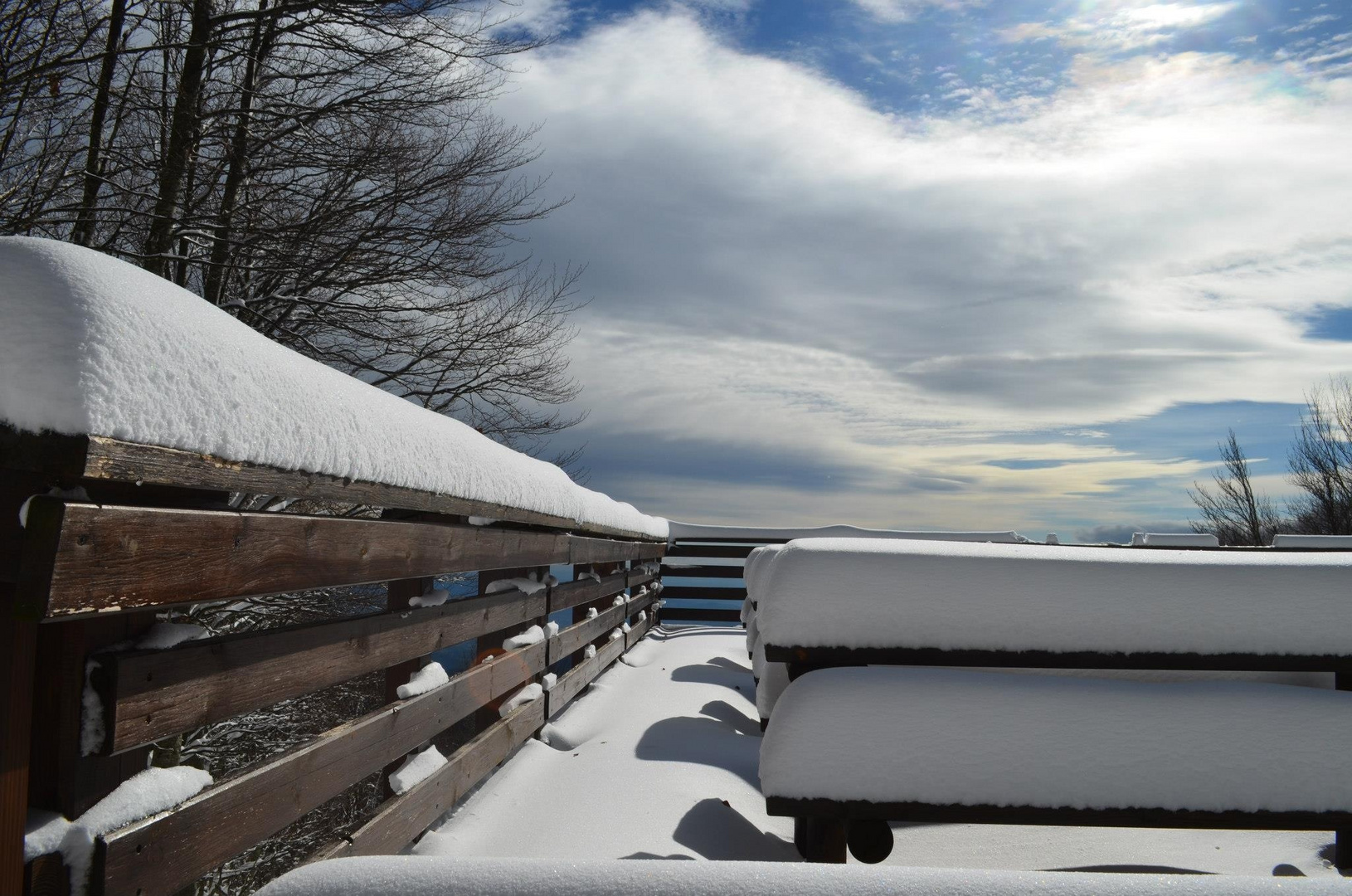 Ordine invernale