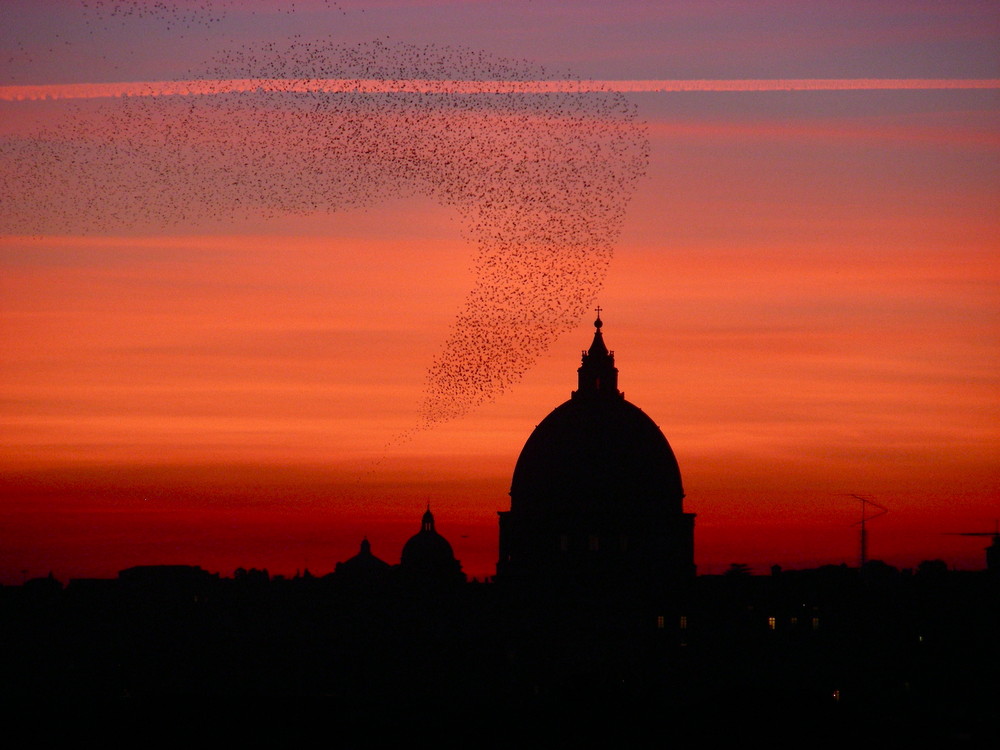 Ordini di volo