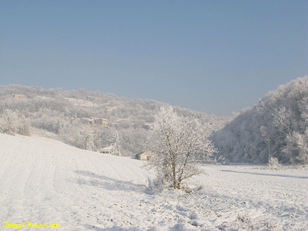 Ore 13.22 Che freddo che fà........