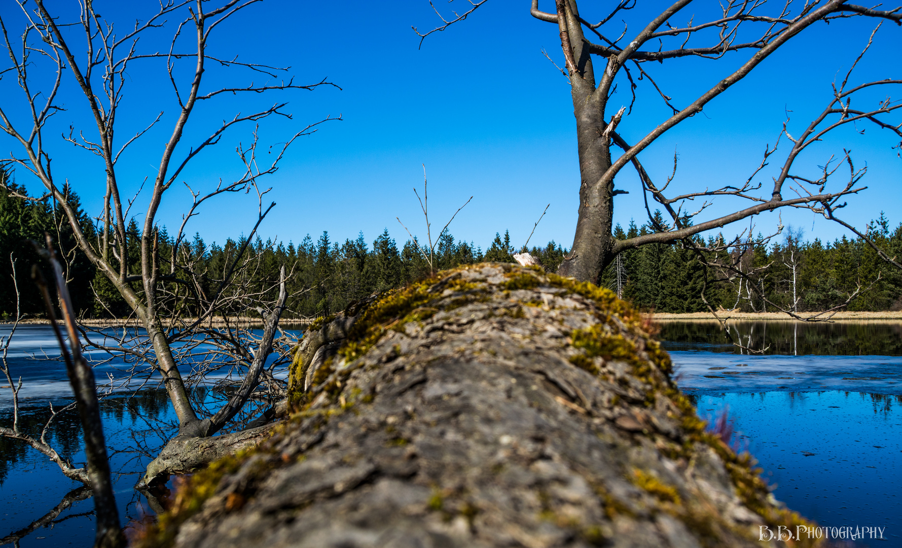 Ore mountain lake