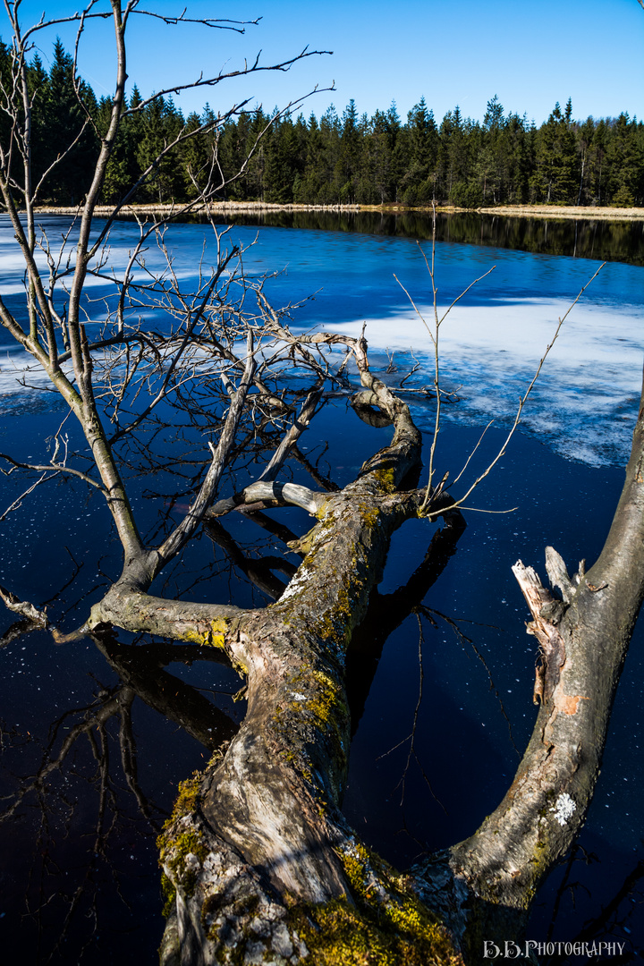 Ore mountain lake - two