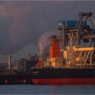 ORE SALVADOR / Bulk Carrier / Rotterdam