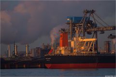 ORE SALVADOR / Bulk Carrier / Rotterdam