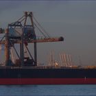 ORE SALVATOR / Bulk Carrier / Rotterdam /  Bitte scrollen!