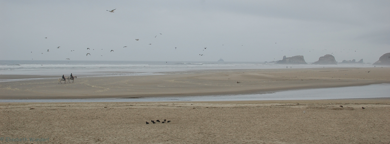 Oregon Cannon Beach