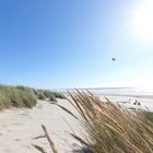 Oregon Cannon Beach I