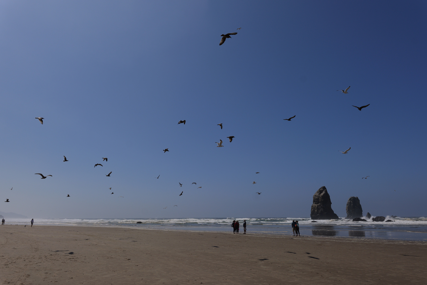 Oregon Cannon Beach II