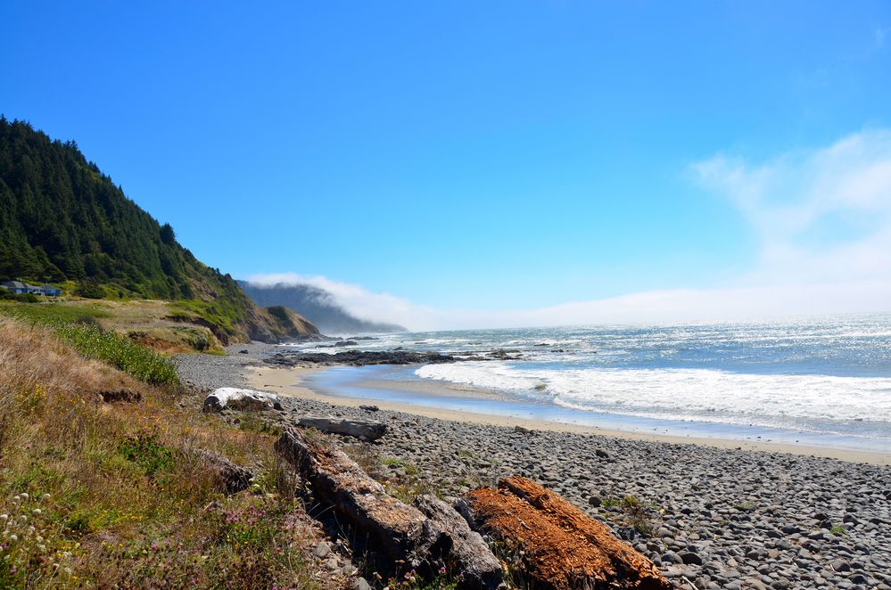 Oregon Coast 1